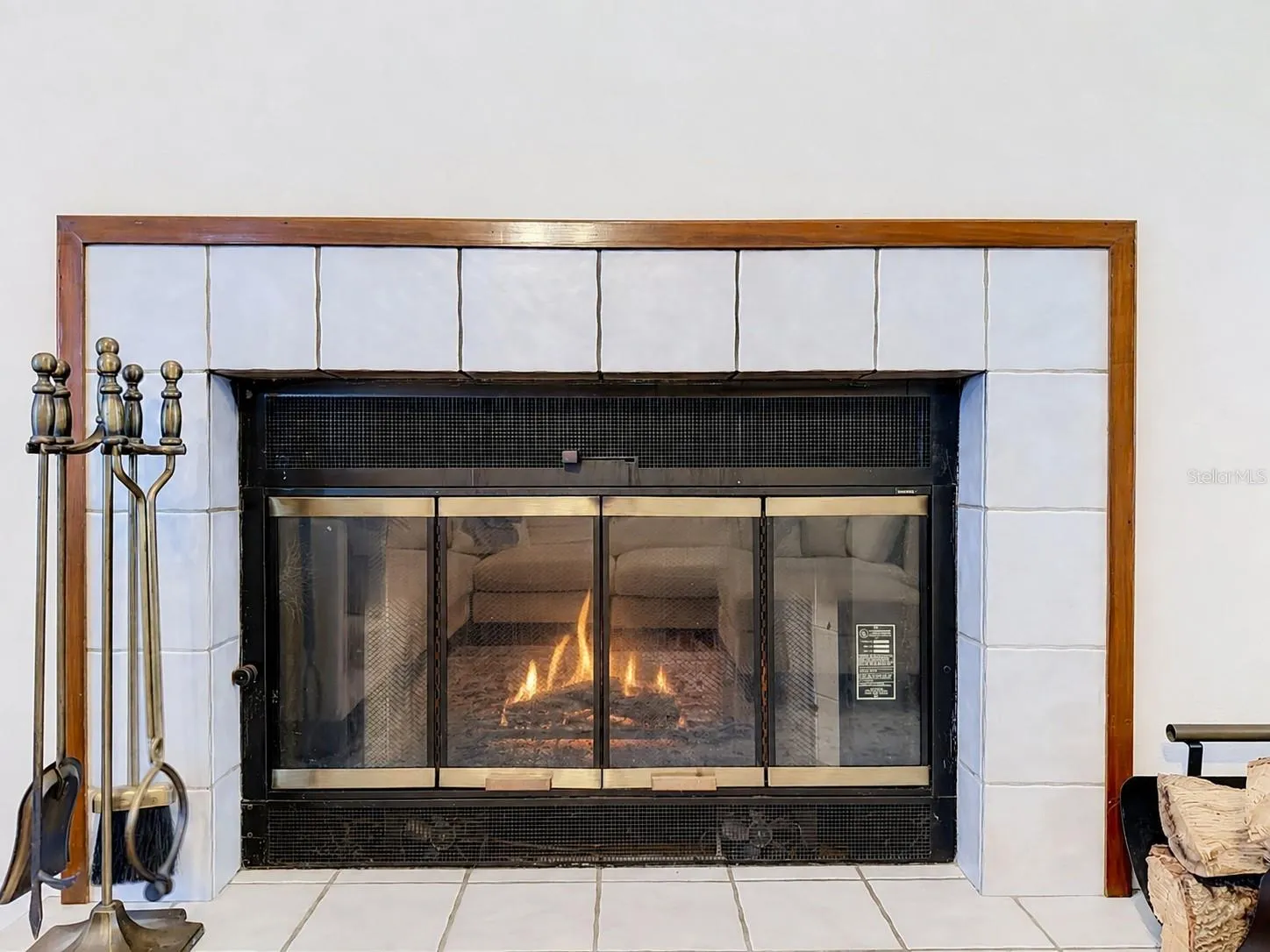 Wood Burning Fireplace