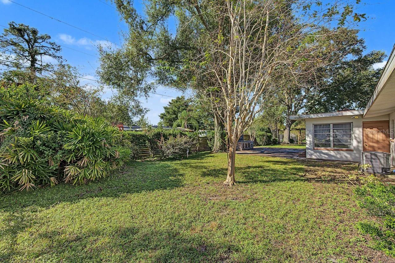 backyard
