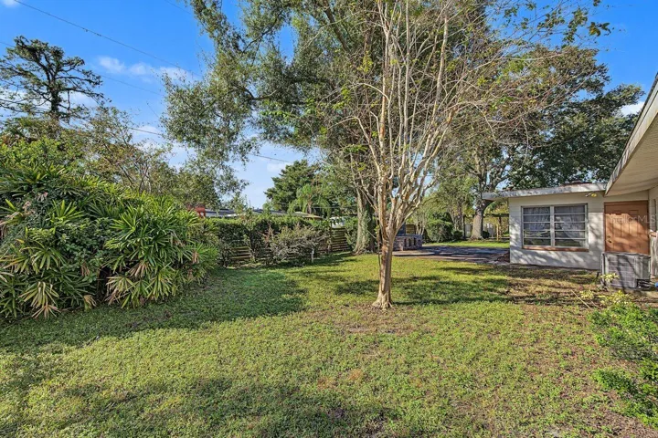 backyard