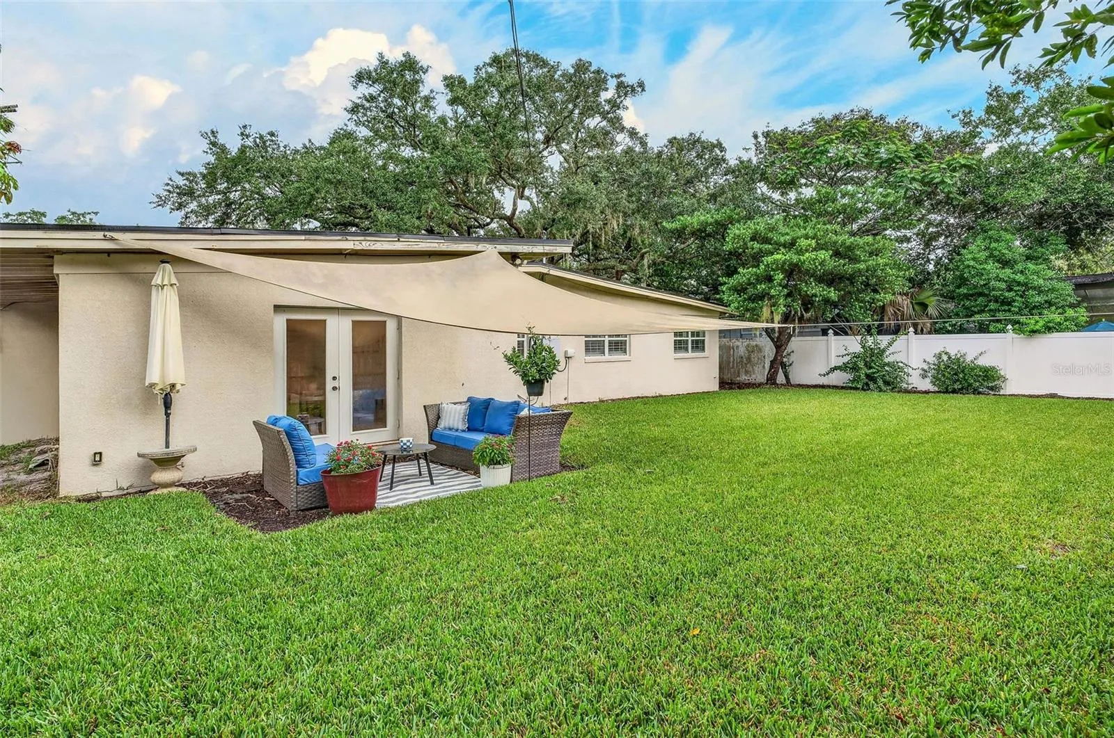 Newer St. Augustine sod