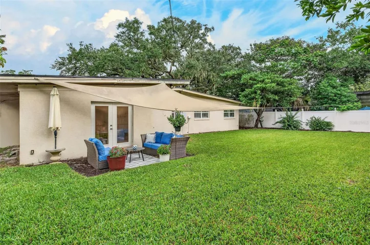 Newer St. Augustine sod