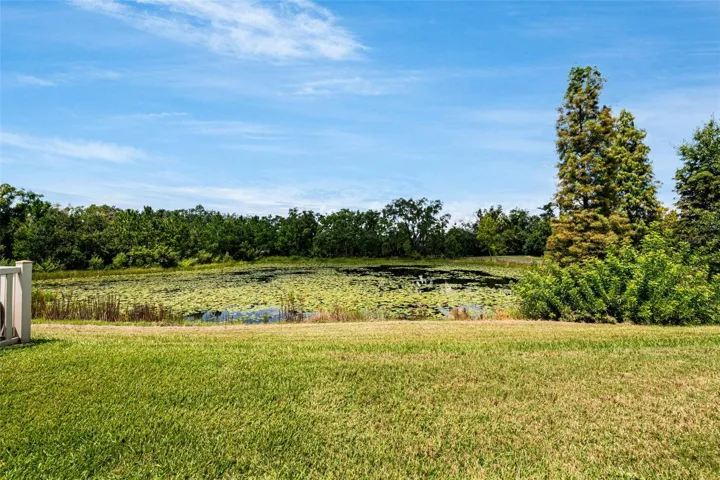 Pond view