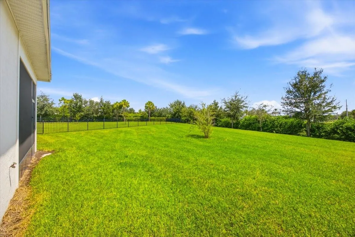 Backyard .2 Acres