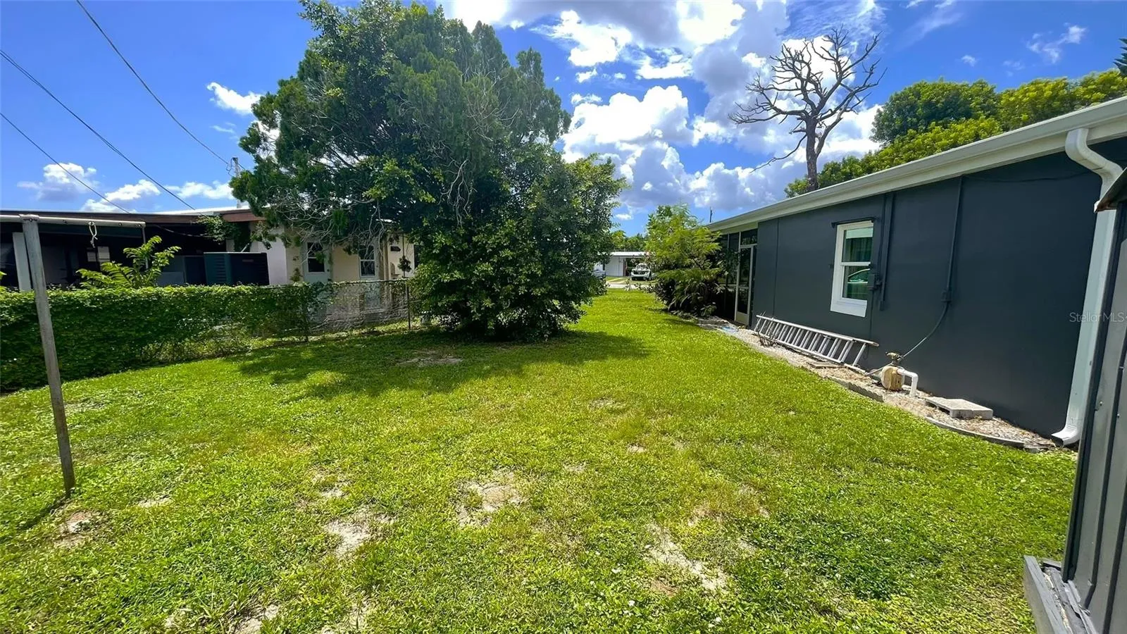 Side Yard