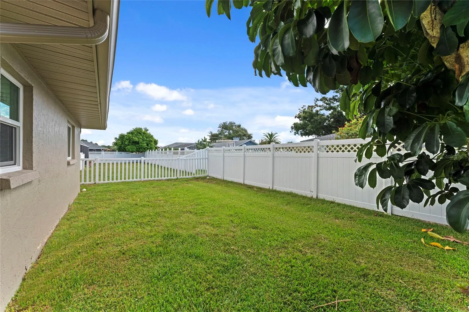 Fenced in Backyard