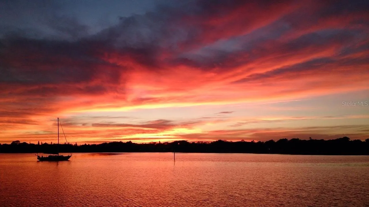 Views from Bayshore Blvd