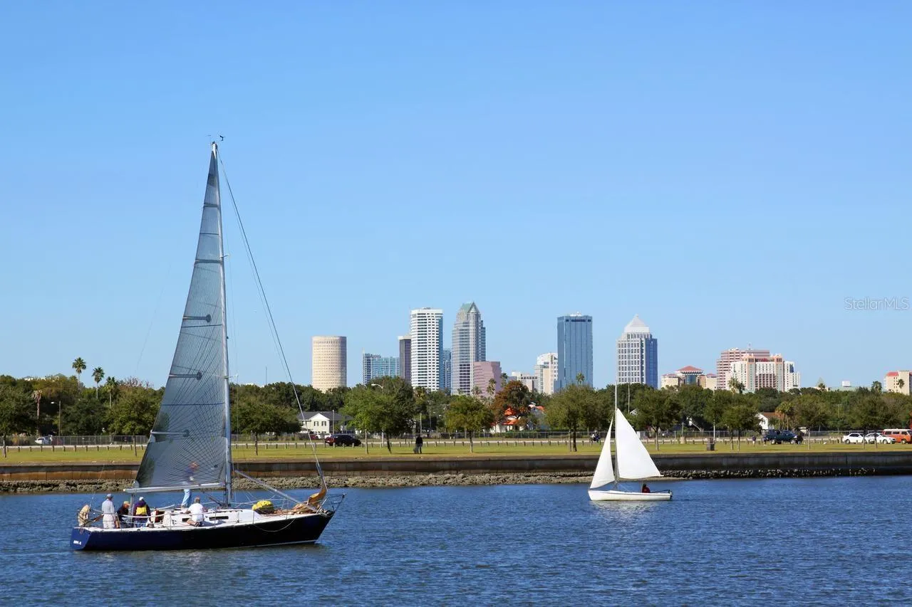 Views from Bayshore Blvd