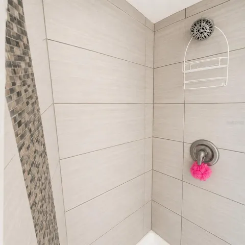 Primary Shower