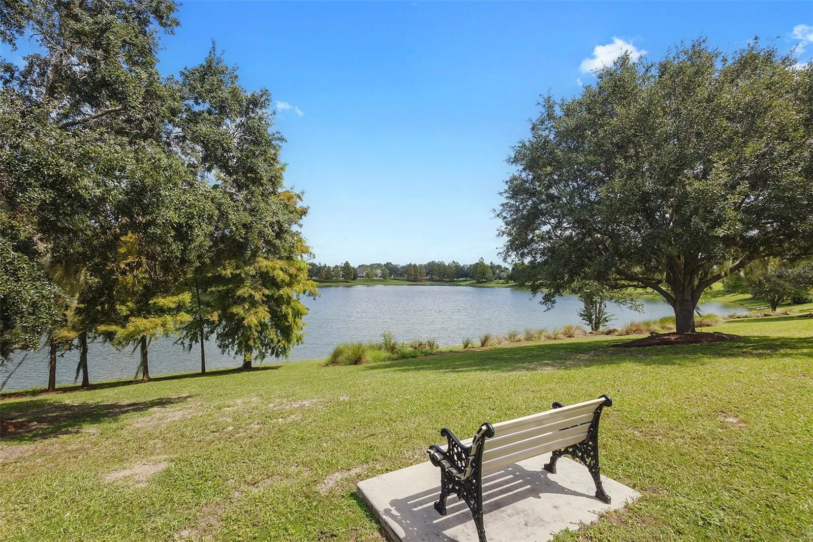 pond nearby