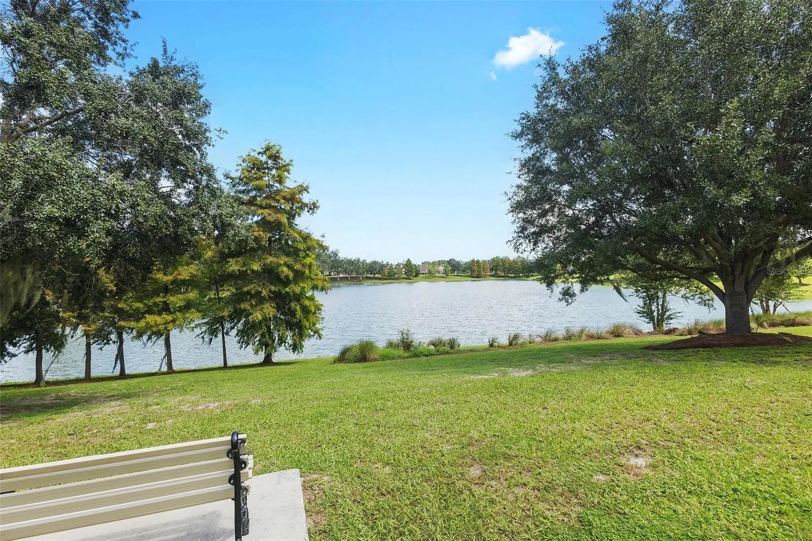 pond nearby