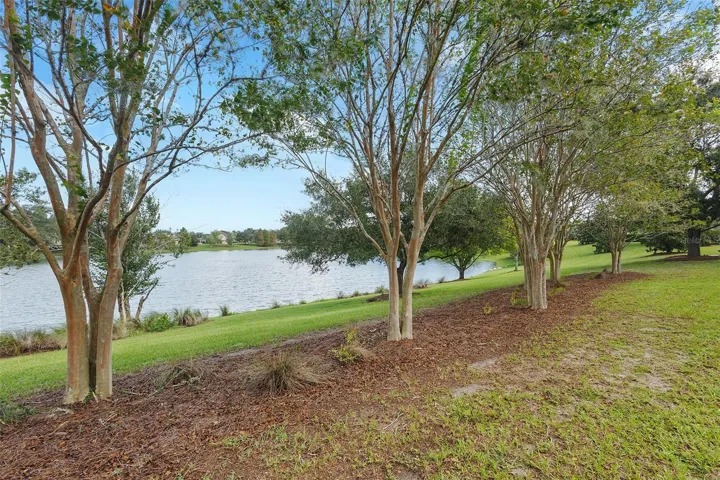pond nearby