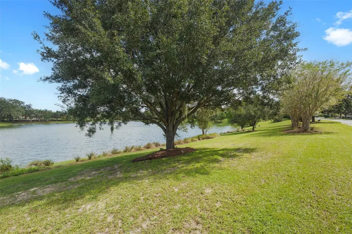 pond nearby