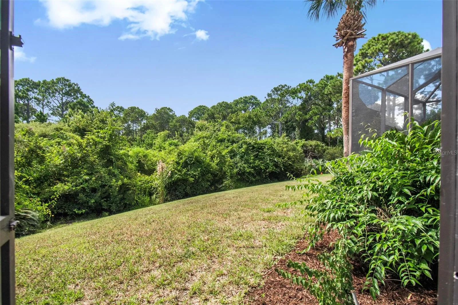 Peaceful wooded area for privacy