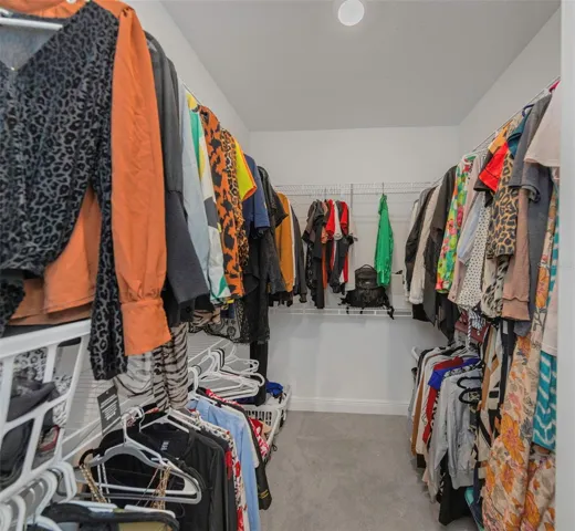 Walk in Closet 1