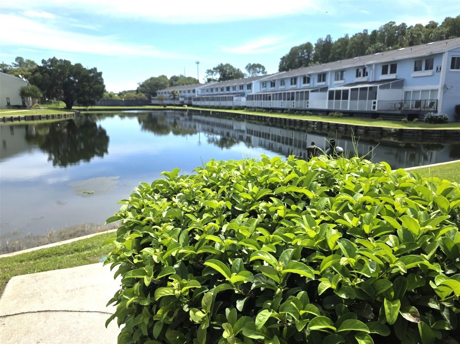 WATER VIEW