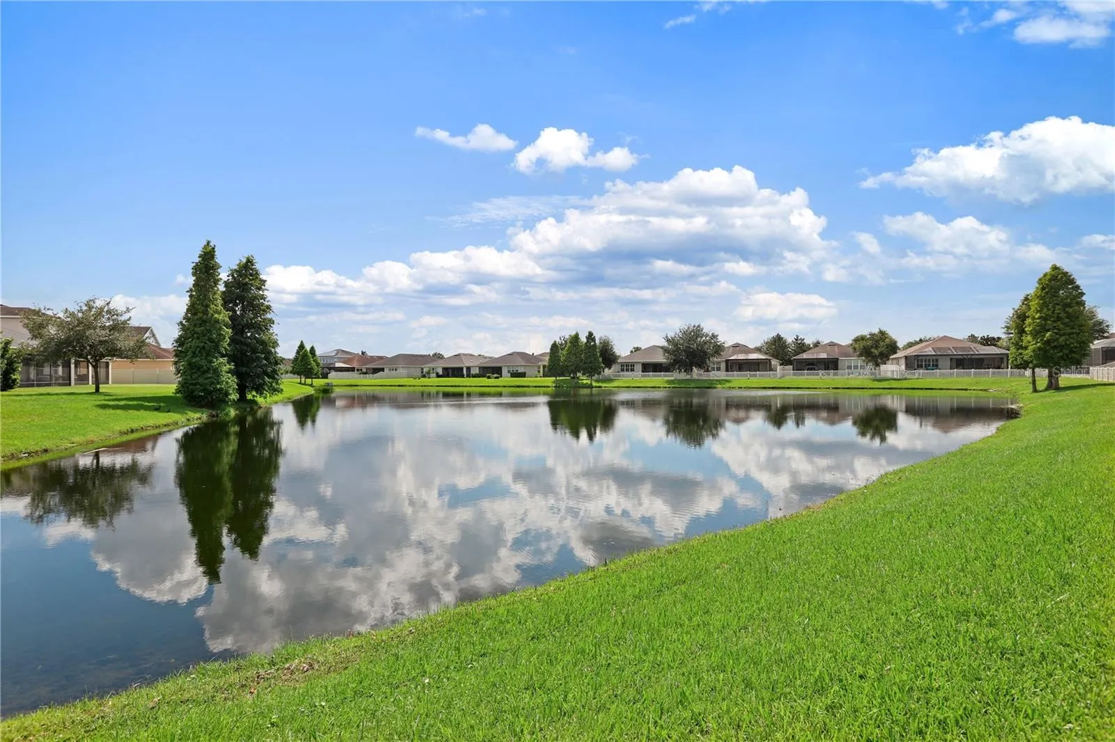 Pond View
