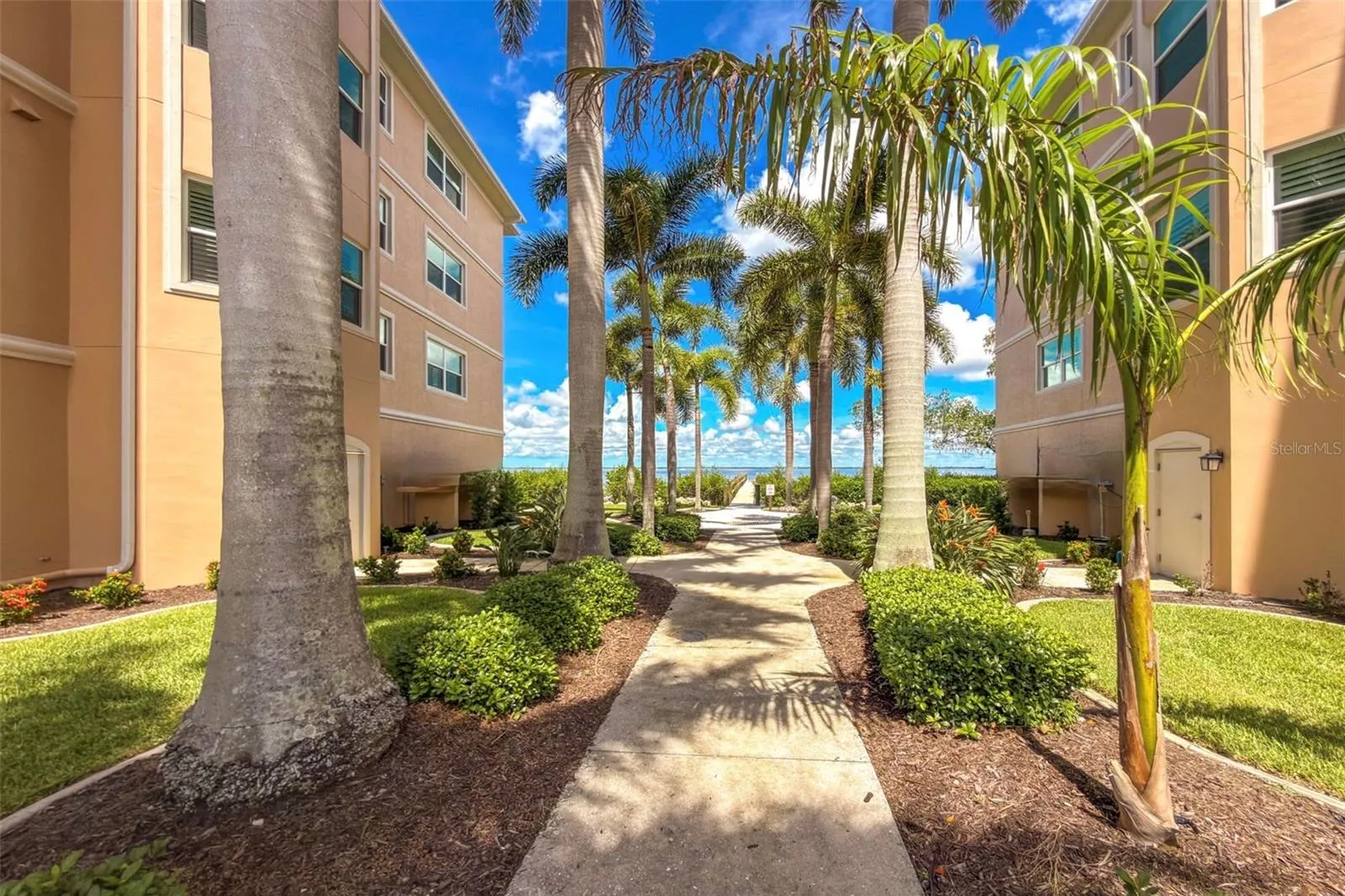 Royal Palm Tree  Studded Walkway to private pier which extend out to the harbor,