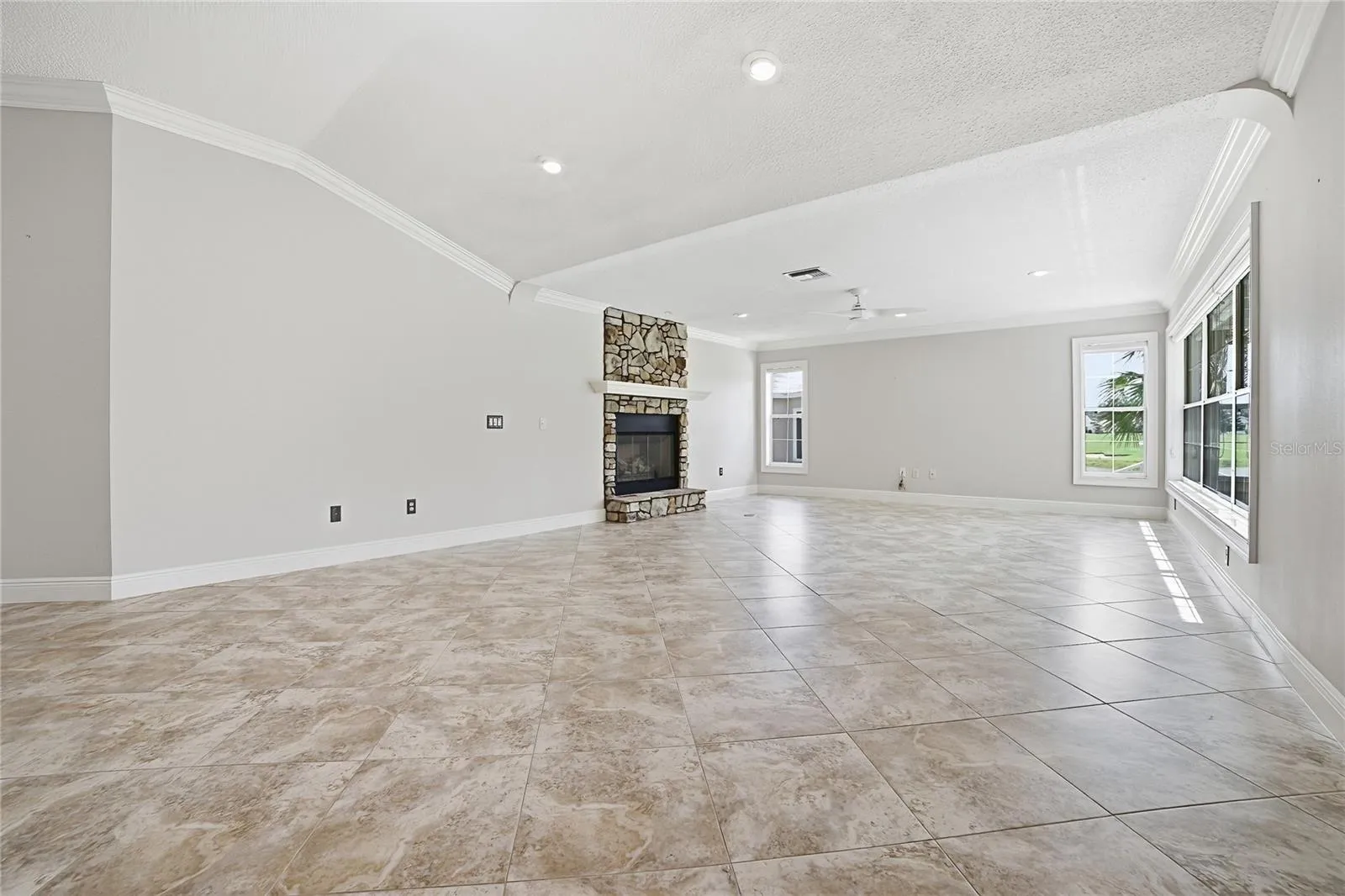 Living Room and Fireplace