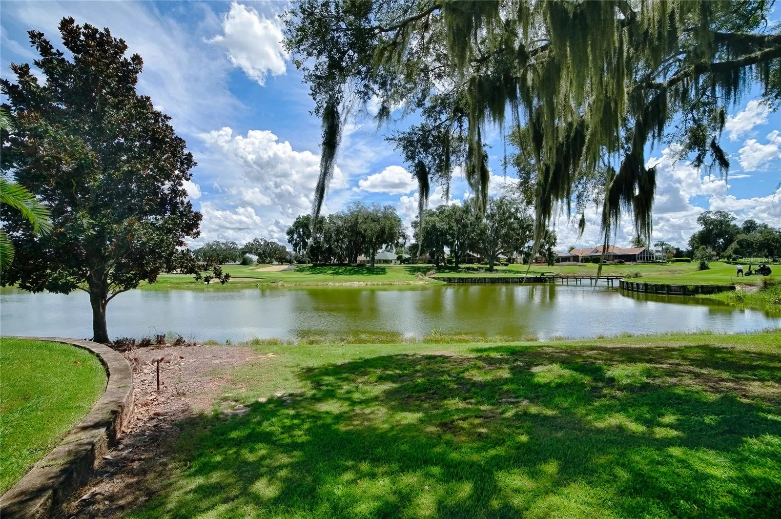 Pond view from back yard