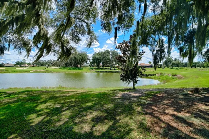 Pond behind home