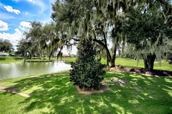 Golf and pond view