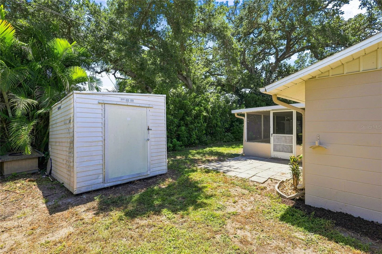 Large Shed in the back