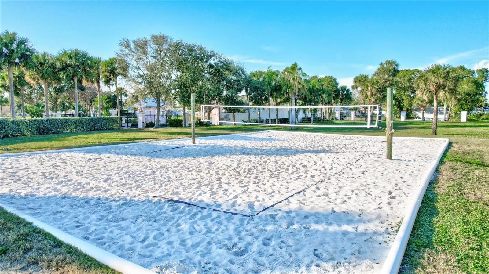 Active Volleyball
