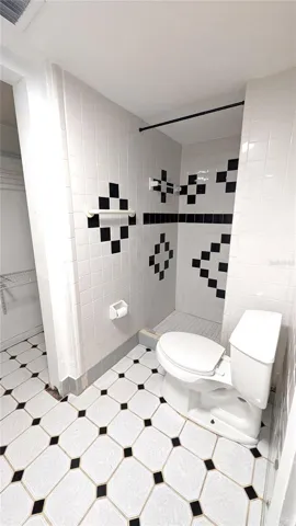 Master Shower and Lavatory
