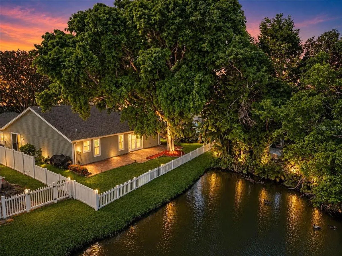 Pond View