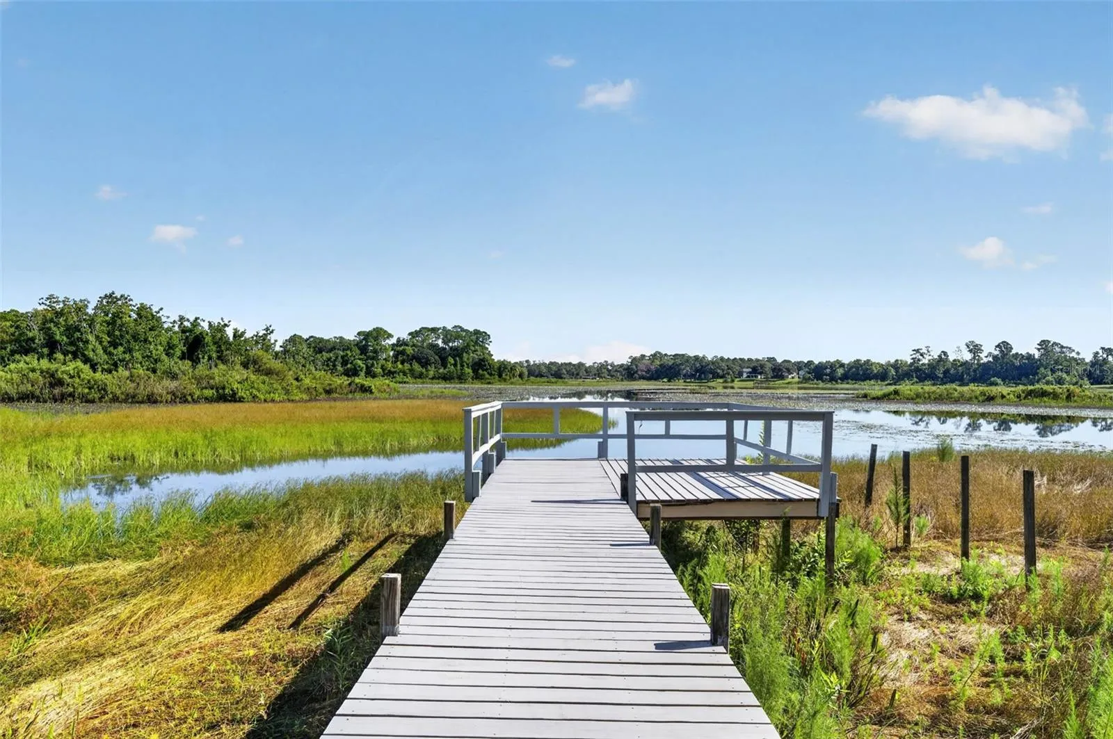 Lake view