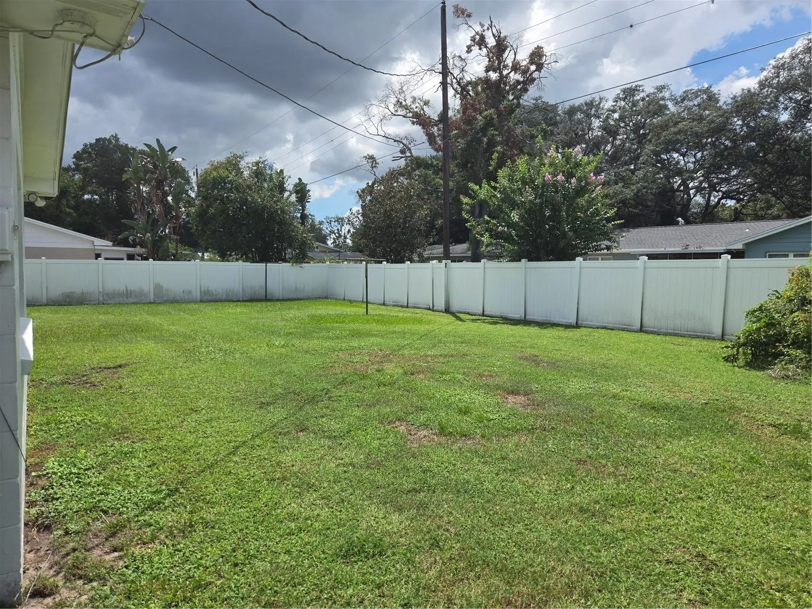 back yard
