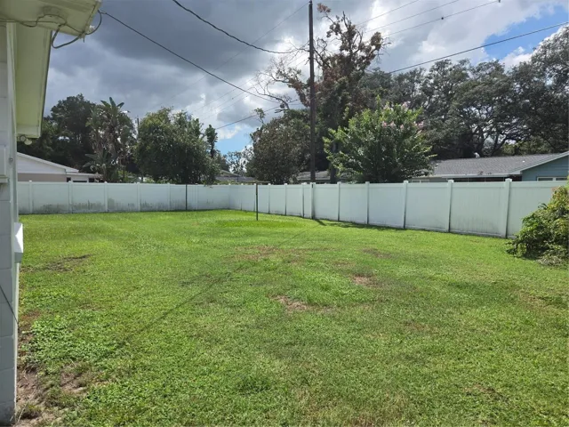back yard