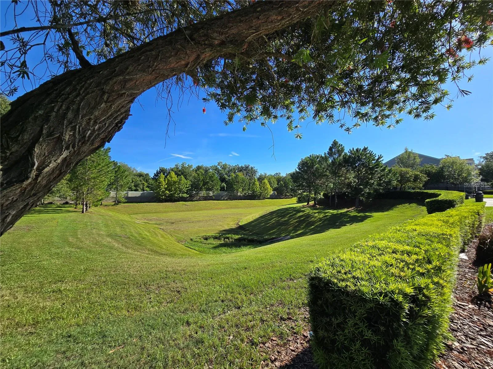A community with loads of open space