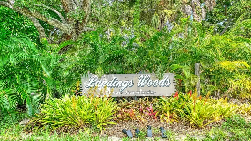 Siesta Woods