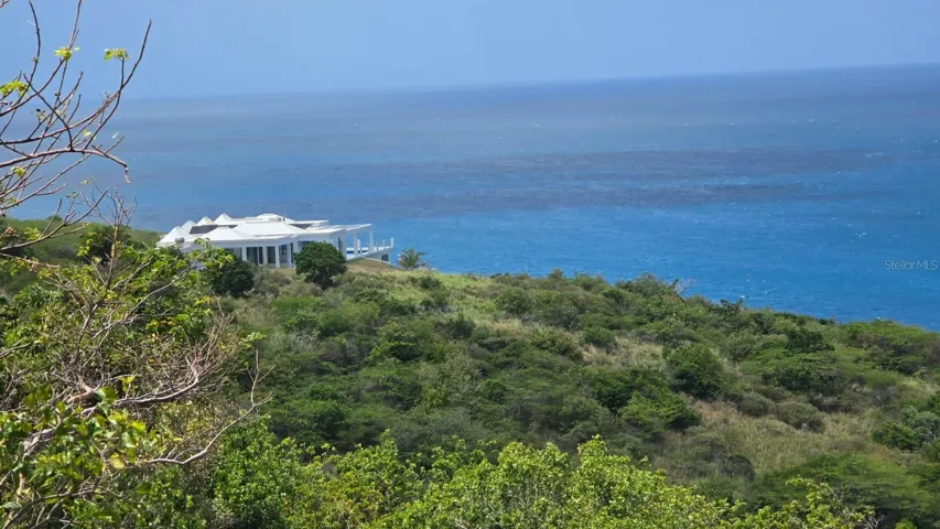 View to NorthWest and the current only neighbor