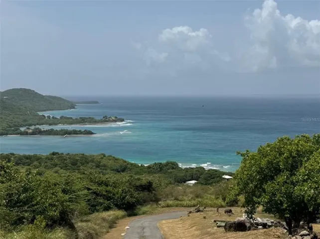 View to South