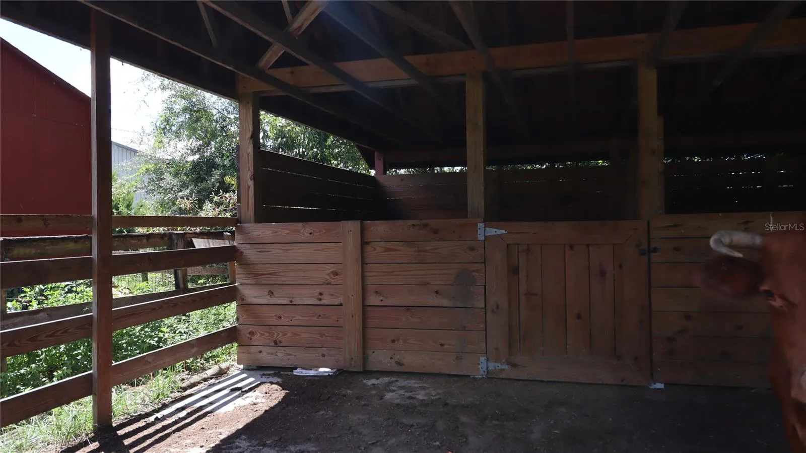 with 3 stalls...