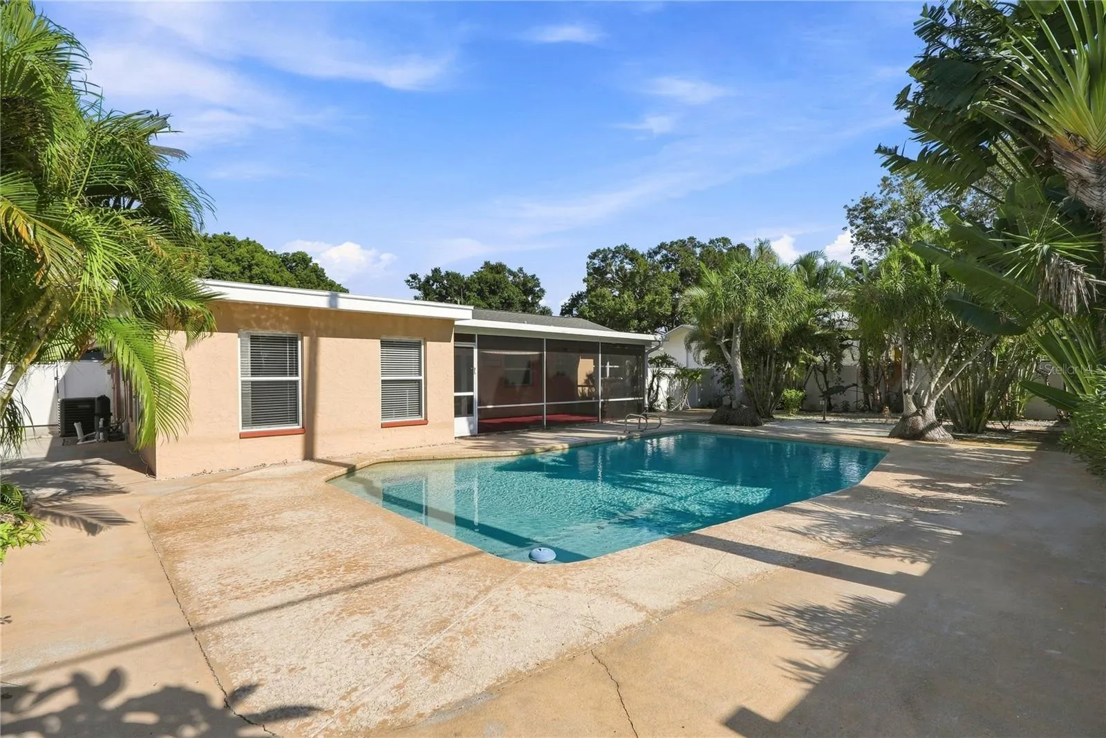 Pool & Backyard