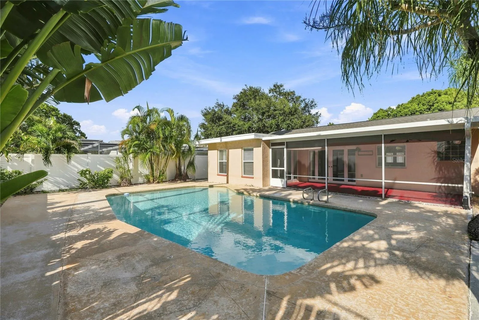 Pool & Backyard