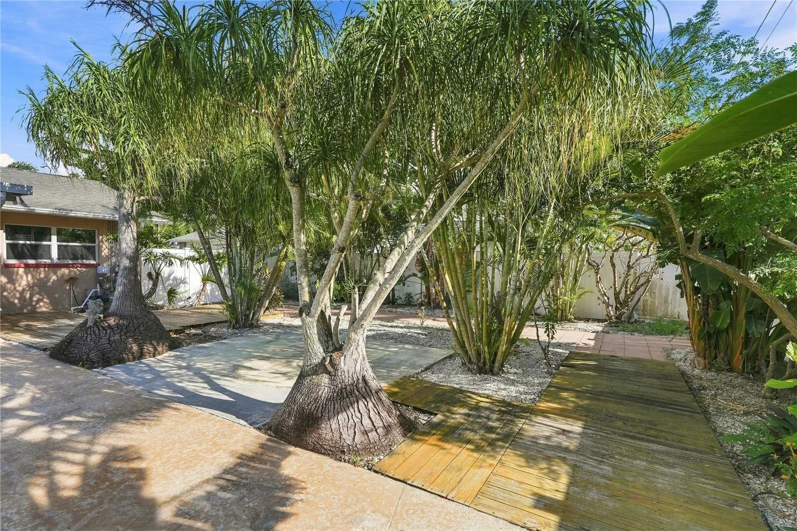 Backyard