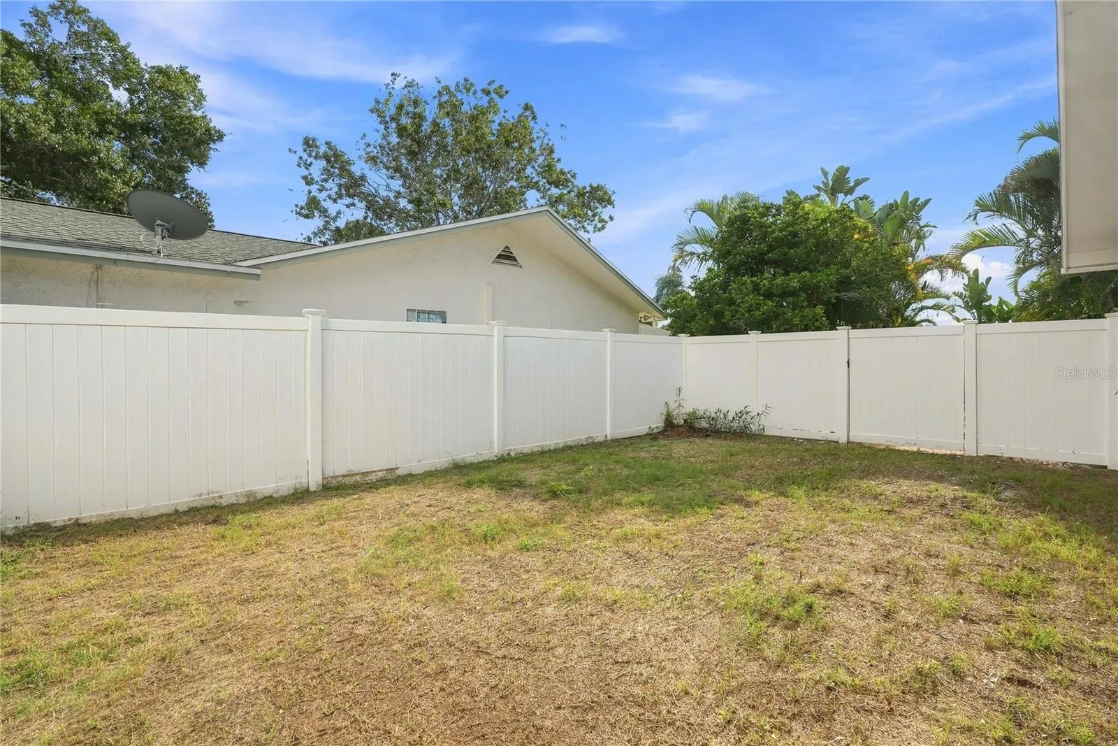 Side Yard