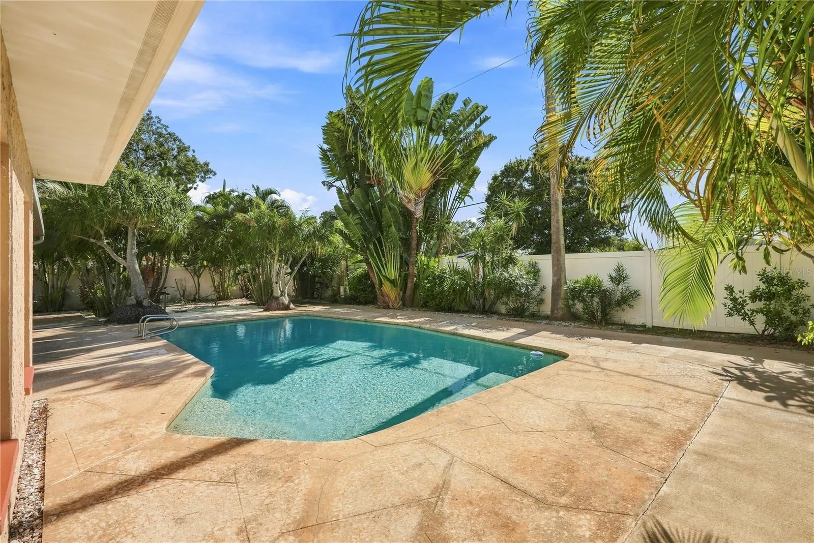 Pool & Backyard