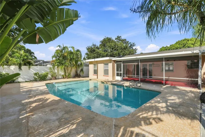 Pool & Backyard