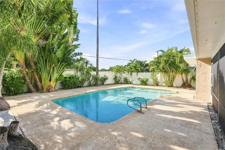 Pool & Backyard