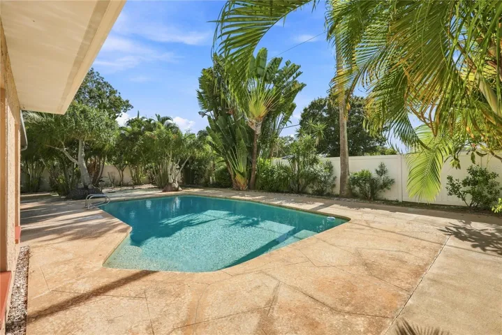 Pool & Backyard