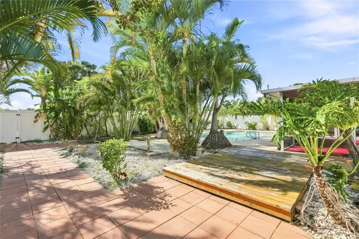 Pool & Backyard