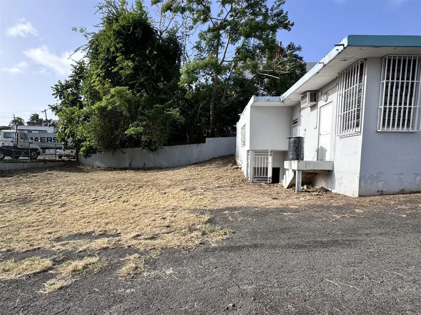 Back Yard/Parking