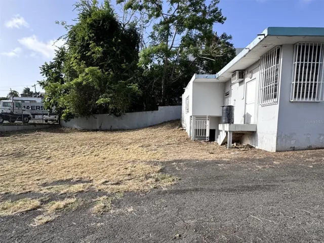 Back Yard/Parking