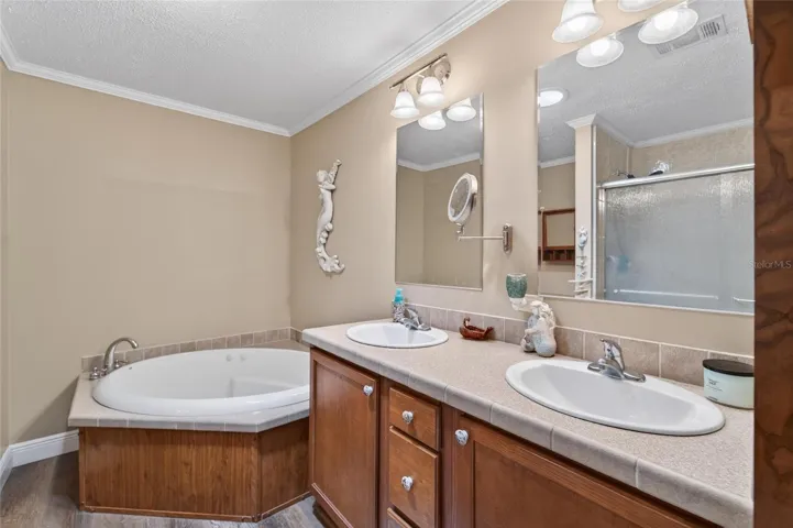Master en-suite bath
