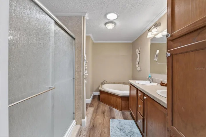 Master en-suite bath